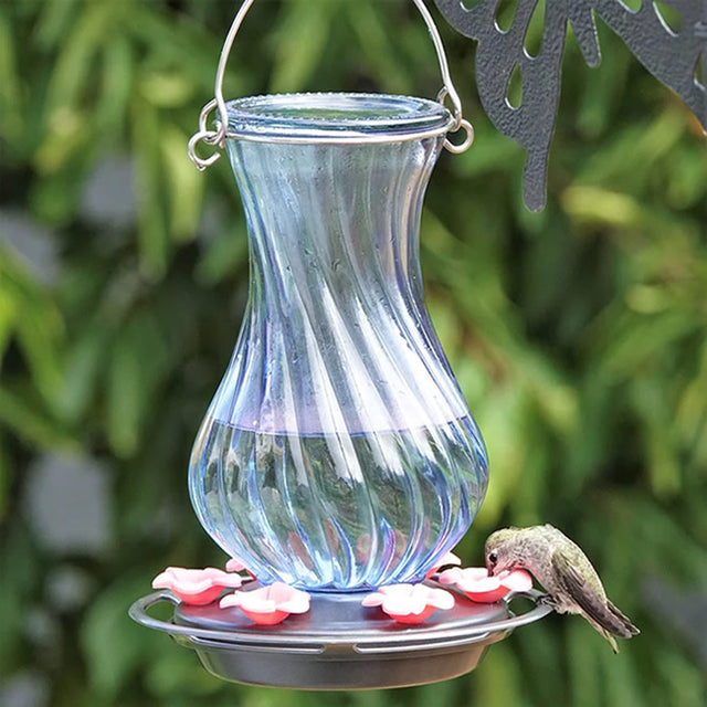 Perfect Pitcher Antique Glass Gravity Hummingbird Feeder with textured glass, continuous perch ring, and removable flower ports for easy cleaning.