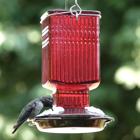 Crimson Carnation Antique Glass Gravity Hummingbird Feeder with red stained glass, four flower ports, and a perching ring, holding 22 ounces of nectar.