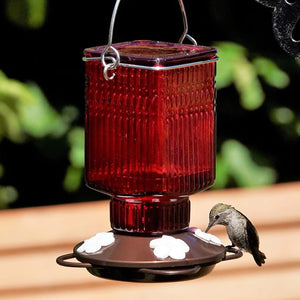 Crimson Carnation Antique Glass Gravity Hummingbird Feeder with red textured glass, flexible flower ports, and a perching ring, shown with a hummingbird feeding.