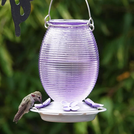 Lilac Dreams Antique Glass Gravity Hummingbird Feeder with textured glass, built-in perch ring, and bee-resistant flower ports for easy cleaning and refilling.