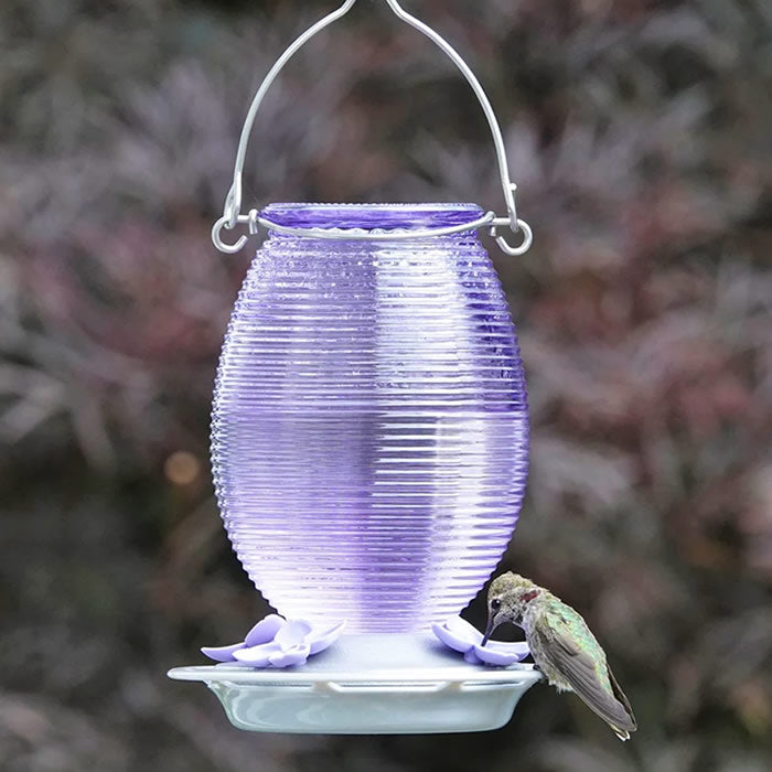 Lilac Dreams Antique Glass Gravity Hummingbird Feeder with textured glass, removable flower ports, and a continuous perch ring, showcasing a hummingbird drinking nectar.