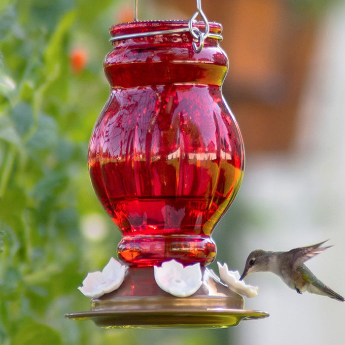 Ruby Visions Antique Glass Gravity Hummingbird Feeder with red textured glass, flexible flower ports, and a perching ring, shown with a hummingbird in use.