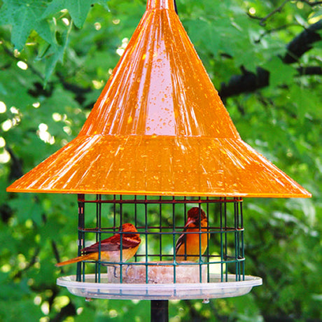 Arundale Sky Cafe Oriole Feeder featuring two birds inside a cage-like feeder with a protective orange dome and 1-1/2 inch fly-through openings.