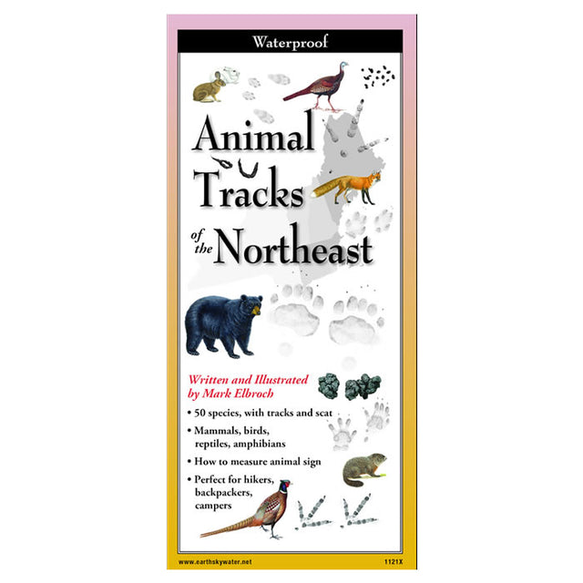 Animal Tracks of the Northeast Folding Guide featuring illustrated animals and text, including birds and a black bear, for quick species identification and outdoor use.