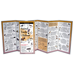 Animal Tracks of the Midwest Folding Guide: close-up of the indestructible, waterproof, 6-panel laminated brochure featuring animal footprints and illustrations for quick identification.