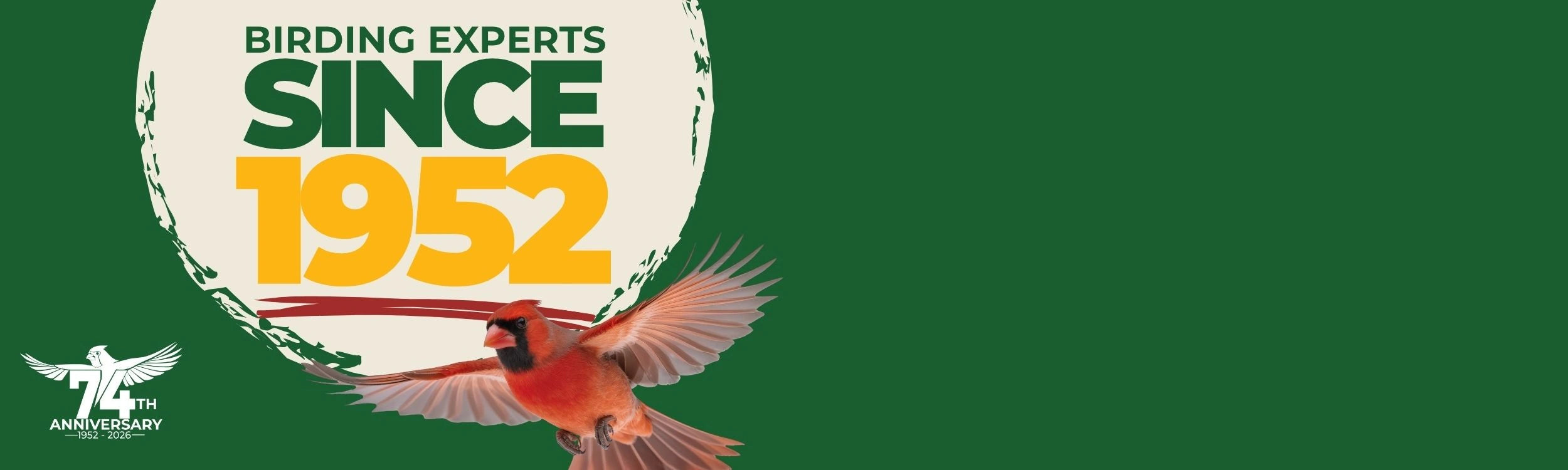 Duncraft—birding experts since 1952—celebrating its 74th anniversary with a northern cardinal in flight.
