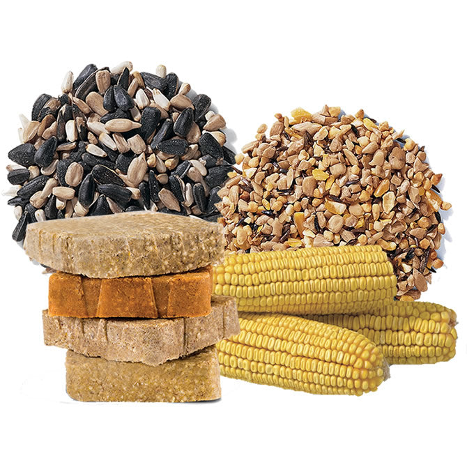 This is a collage of bird seed, corn a suet cake and is represents the items that are part of our Autoship program