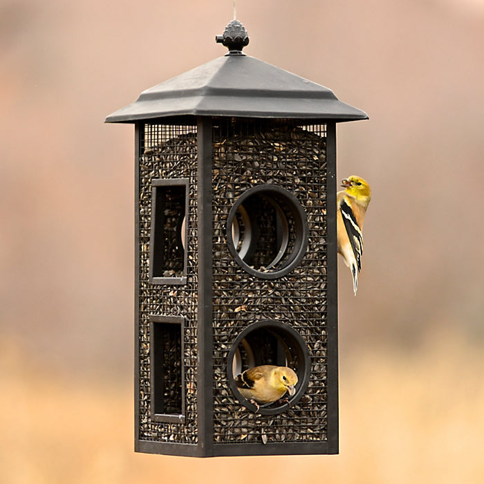 Fly Thru Mesh Wild Bird Feeder with birds perched, featuring metal mesh sides, protective roof, and fly-through openings, holding 2 lbs. of sunflower seeds.