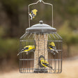 Metal Squirrel-Resistant Feeder: Yellow birds feeding from a heavy-duty metal cage with four feeding ports and fly-through openings, designed to deter larger birds and squirrels.