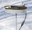 Heated Pole Mount Bath with a bird perched on the edge, featuring a removable black-resin dish and durable steel support ring.