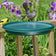 Clamp Mount Bird Bath, Green, with two songbirds perched. Easily attaches to deck railing, featuring a 14-inch BPA-free basin for birdwatching.