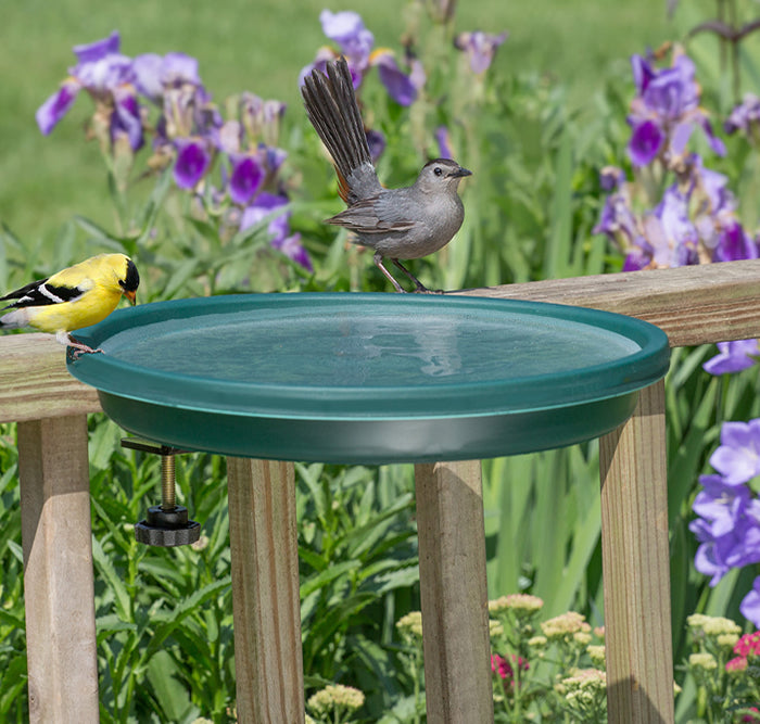 Clamp Mount Bird Bath, Green, featuring a yellow bird perched on the edge of the 14-inch basin, mounted on a deck railing.