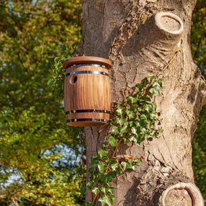 Barrel Bird Nester on a tree trunk, featuring a wooden birdhouse designed to provide a safe haven for small wild birds in gardens.