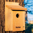 Cedar Bluebird House mounted on a tree, featuring a 1-1/2 inch entry hole and built-in ventilation.