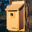 Traditional Cedar Bluebird House mounted on a tree, featuring a 1-9/16 inch entry hole with predator guard and ventilation for bluebirds.