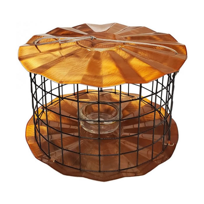 Erva Baffled Bluebird Feeder with a metal cage, glass dish inside, and copper-tinted baffles, designed to keep out larger birds while bluebirds feed.