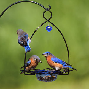 Bluebird Flower Feeder featuring a metal frame with flower petals and heart-shaped gem, attracting birds to feed from its blue plastic dish.