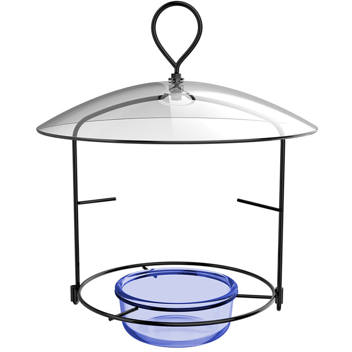 Bluebird Buffet bird feeder with clear plastic weather guard, blue glass bowl, and black wire wraparound perch for multiple birds. Removable dish for easy filling and cleaning.