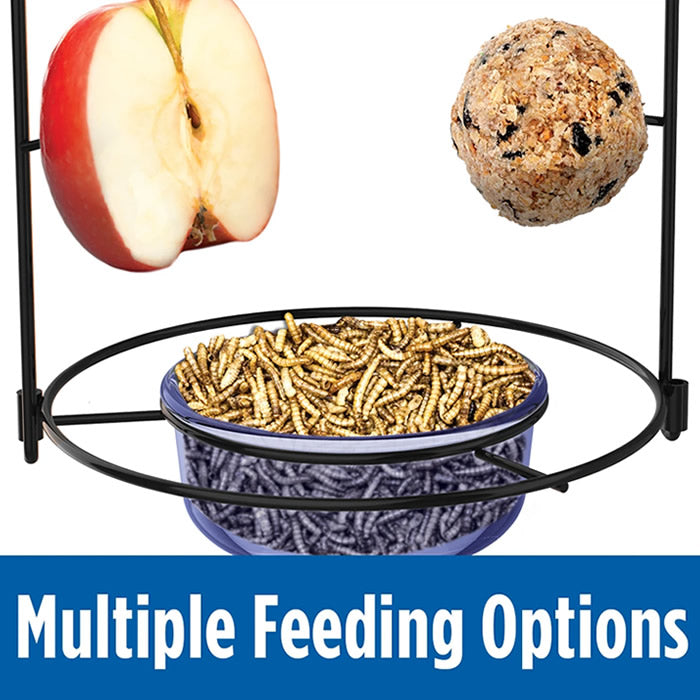 Bluebird Buffet featuring a bowl of mealworms and a red apple, designed with a wraparound perch and clear weather guard for easy bird feeding.