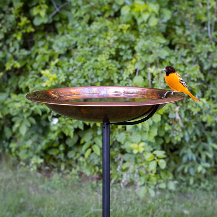 Solid copper bird bath | Hanging bird bath | Metal bird bath bowl store outdoor | Copper birdbath | Large metal bird feeder for outdoor garden