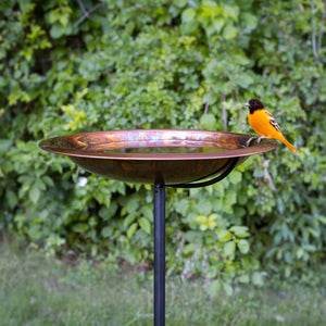 Pure Copper Bird Bath Stake with Fired Finish, featuring a decorative lip for perching birds on a sturdy base, perfect for any outdoor oasis.