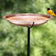 A hammered copper bird bath with a black metal stand, shown outdoors with a small yellow and black bird perched on the rim against a blurred green foliage background.