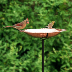 Pure Copper Bird Bath with Garden Pole featuring a decorative lip for birds to perch and drink, and a textured base for stability.