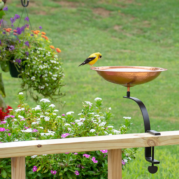 Rail Mounted Hammered Copper Bird Bath with deck mount, featuring a hammered copper basin and sturdy wrought iron rail mount, set in an outdoor garden scene with a bird perched.