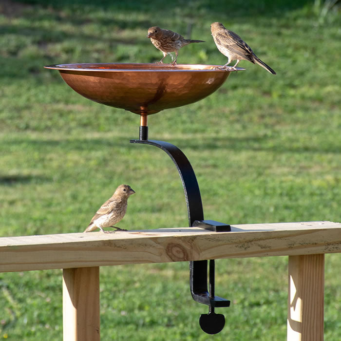 Rail Mounted Hammered Copper Bird Bath with birds perched on the rim, featuring a hammered copper basin and sturdy wrought iron deck mount.