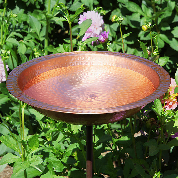 Hammered Solid Copper Staked Bird Bath in a garden, featuring a textured basin on a wrought iron stake, designed to attract and accommodate larger birds.