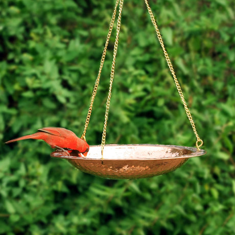 Pure Copper Hanging Bird Bath with decorative lip, showing a bird drinking. Features durable brass chains, rust-resistant, and a textured base for stability.