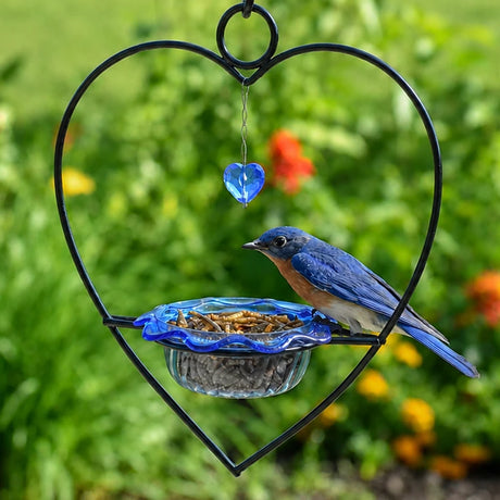 A heart-shaped black metal bird feeder with a blue glass seed bowl and a hanging blue glass heart charm, shown outdoors with a bluebird perched on the feeder in a green garden.