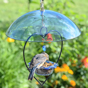 BirdsChoice Bluebird Heart Feeder with Blue Dome, featuring a heart-shaped frame and blue dish, with a bird eating from it.