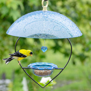 BirdsChoice Bluebird Heart Feeder with Blue Dome, featuring a heart-shaped black metal frame, blue plastic dish, and weather dome for dry mealworms.