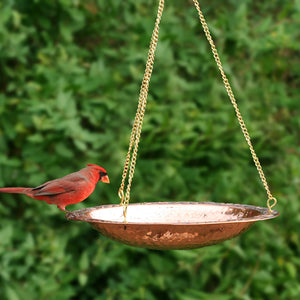 Pure Copper Hanging Bird Bath with decorative lip for perching birds, 13.5-inch diameter, 2-inch deep basin, and durable brass chains.