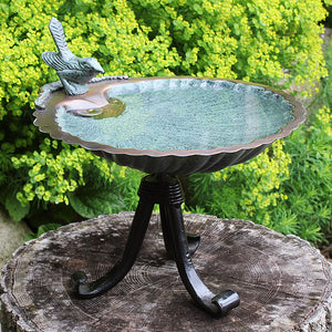 Scallop Shell Bird Bath with Tripod Stand on a tree stump, featuring a brass basin ideal for bird watching and easy cleaning.