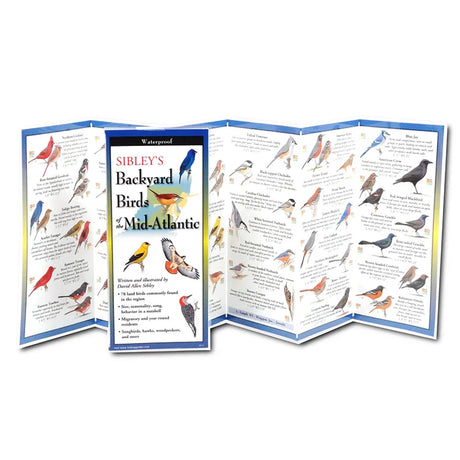 Sibley’s Backyard Birds of the Mid-Atlantic: Waterproof, fold-out guide featuring illustrated bird species, labeled for quick identification; ideal for portable birdwatching.