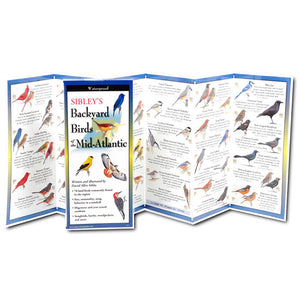 Sibley’s Backyard Birds of the Mid-Atlantic: a portable, laminated birding guide featuring illustrations of various birds on fold-out panels for quick identification.