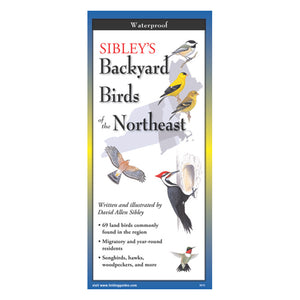 Sibley's Backyard Birds of the Northeast Folding Guide, featuring a close-up illustration of a bird, is a portable, waterproof bird identification tool with six fold-out panels.