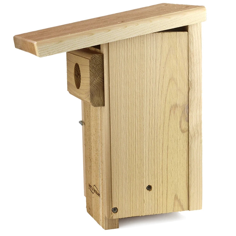 Durable cedar bluebird nest box with easy mounting design for backyard bird conservation.
