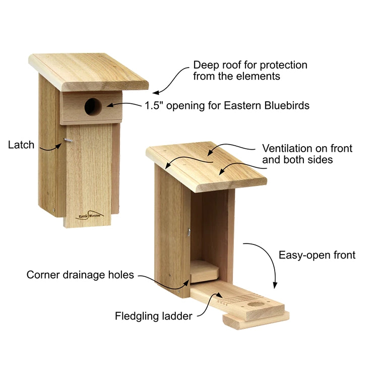 Bluebird nesting box with ventilation, drainage, predator-resistant design, and fledgling-friendly interior.