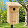 Bluebird bird house in a green backyard setting. 