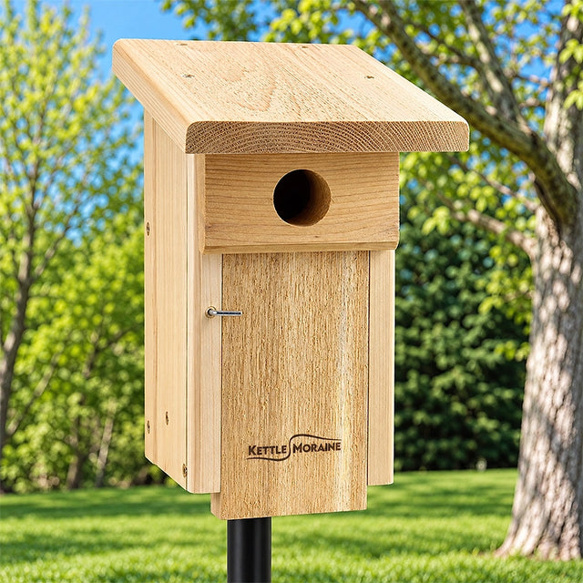 Bluebird bird house in a green backyard setting. 