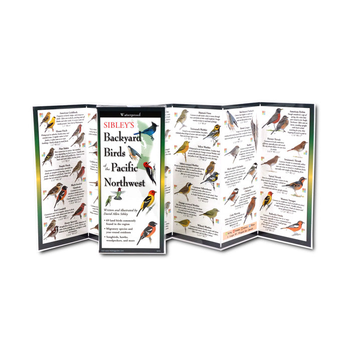 Sibley's Backyard Bird of the Pacific Northwest Folding Guide: A waterproof, 4x9 inch, illustrated brochure featuring common and exotic birds, with six fold-out panels for easy identification.