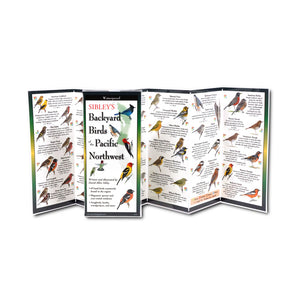 Sibley's Backyard Bird of the Pacific Northwest Folding Guide: A waterproof, 4x9 inch, illustrated brochure featuring common and exotic birds, with six fold-out panels for easy identification.