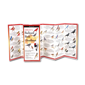 Sibley's Backyard Birds of the Southeast Folding Guide: A waterproof, foldable bird ID brochure featuring illustrations of 75 bird species, perfect for quick identification in the Southeast US.