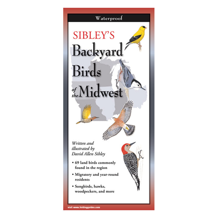 Close-up of the Sibley's Backyard Birds of the Midwest Folding Guide book cover featuring bird illustrations.