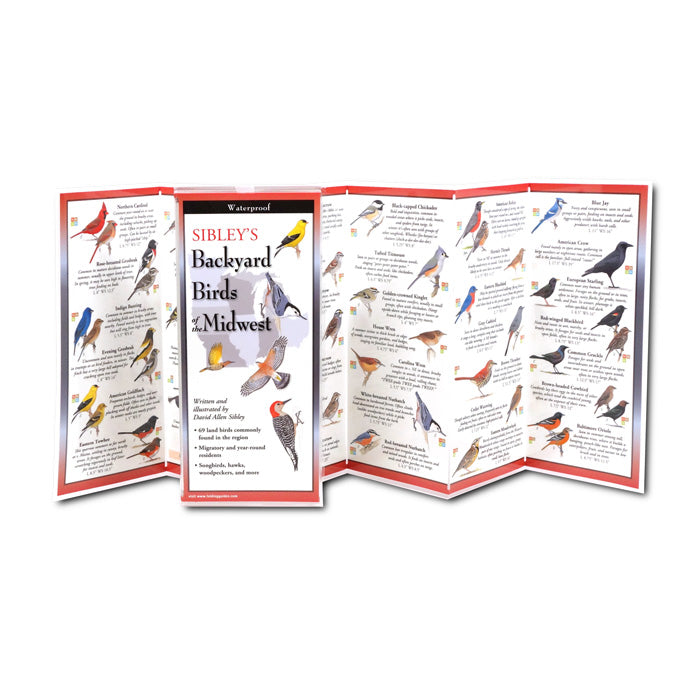 Sibley's Backyard Birds of the Midwest Folding Guide: A portable, laminated, illustrated bird ID brochure featuring common Midwest species.