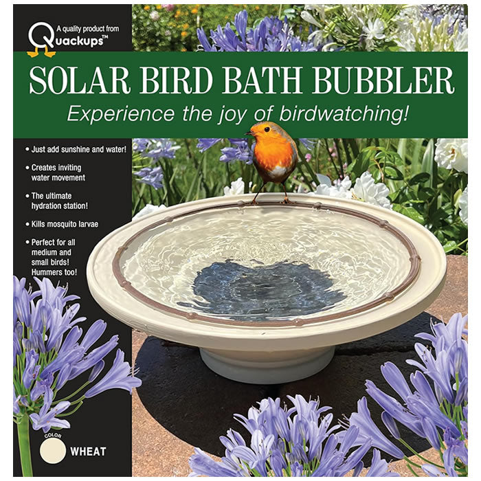 Quackups Solar Bird Bath Bubbler with bird perched on the bath, featuring a solar panel pump and water movement, ideal for gardens and patios.