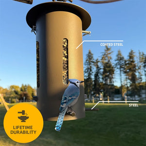 Blue jay perched on the brown Bear Proof Bird Feeder, highlighting its coated steel body and steel perches.